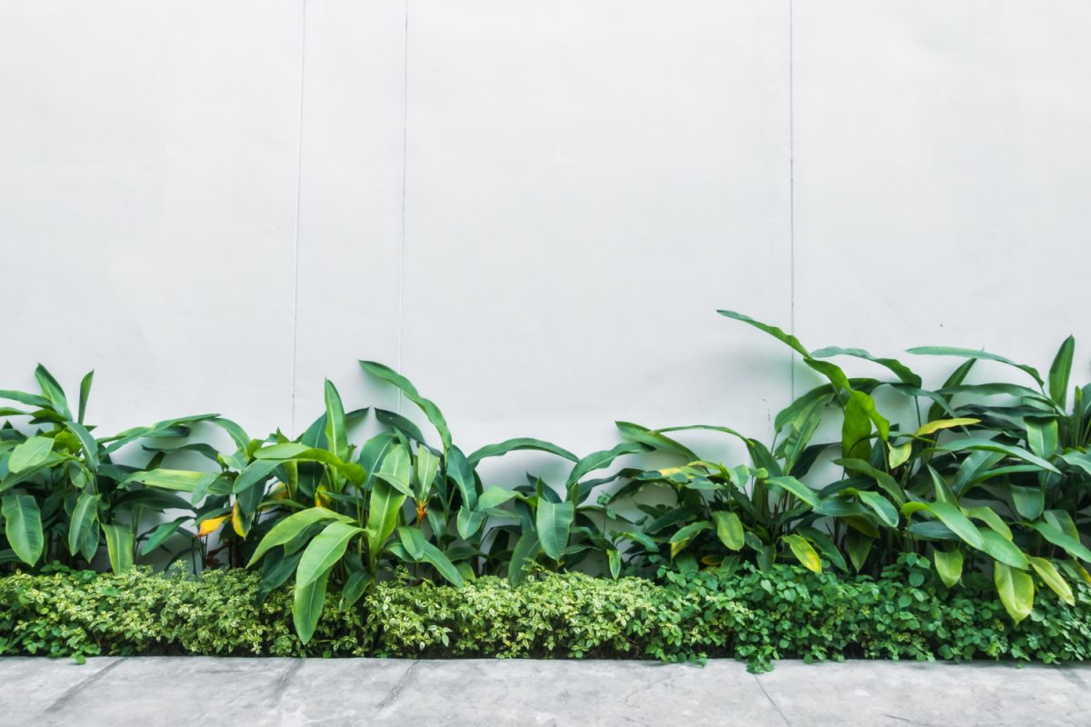 Green wall in the living room – bet on nature!
